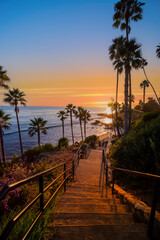 Obraz premium sunset over the palm trees