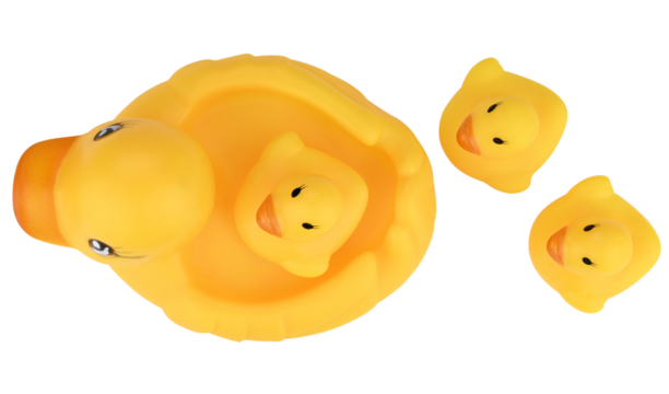 Toy yellow rubber duck with ducklings isolated on a transparent background. Top view.