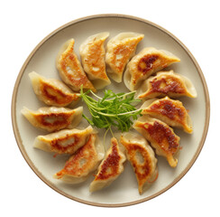 gyoza isolated on white background