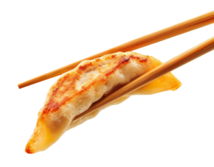 gyoza isolated on white background