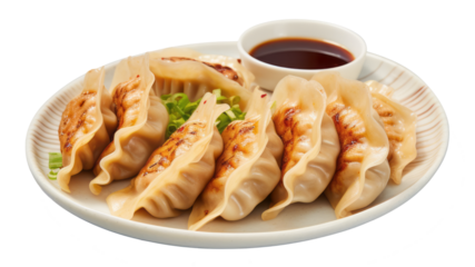 gyoza isolated on white background