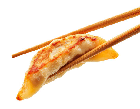 gyoza isolated on white background