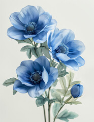 bouquet of blue flowers on white background