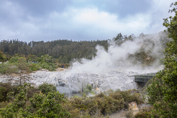 water coming out of geyser on cloudy day in rotoura, new zealand