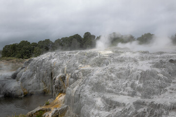 water coming out of geyser on cloudy day in rotoura, new zealand