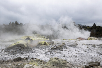 water coming out of geyser on cloudy day in rotoura, new zealand