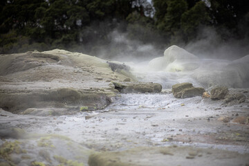 water coming out of geyser on cloudy day in rotoura, new zealand