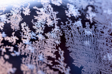 The frozen flowers on the window