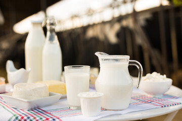 Milk, cottage cheese, cream, cheese on table against background of cows