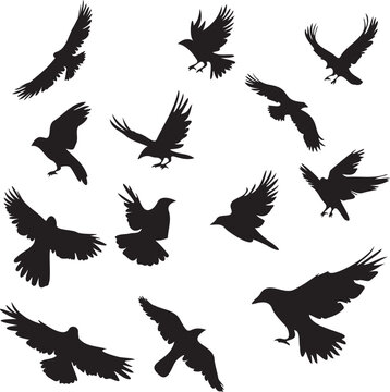 Flock of Birds flying black silhouette
