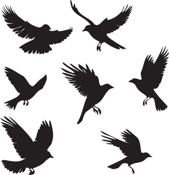 Flock of Birds flying black silhouette