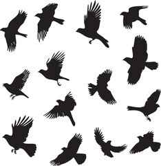 Flock of Birds flying black silhouette