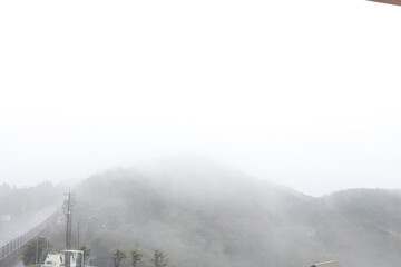 愛媛県伊方町佐田岬国道197号線沿いの濃霧