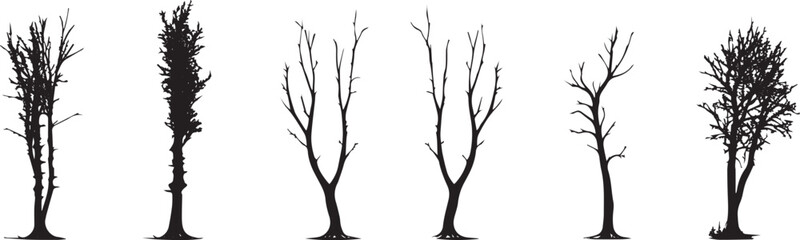 Fototapeta na wymiar Set Trees. Hand drawn vector illustration
