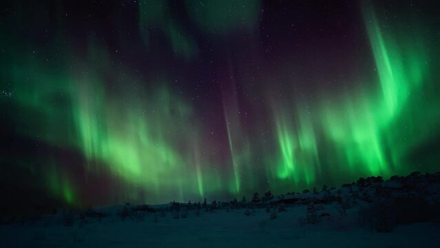 Stunning and vibrant aurora over a snowy landscape in Helgeland.