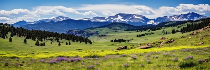 Scenic Vista of Evergreen Meadow in the Foothills of Colorado Rockies with Rocky Mountain - obrazy, fototapety, plakaty