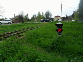 Red Railway Signal amidst Greenery