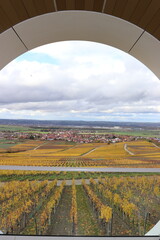 Blick auf die Weinberge im Herbst.