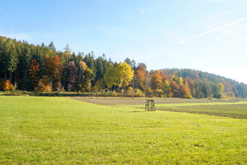 Recreational area in Bavaria on the Regen River near Regenstauf