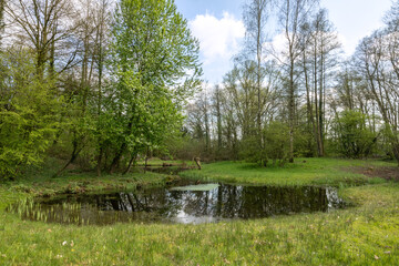 Fototapeta premium lake in a park