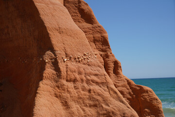 Sandstone walls on the coast weathered