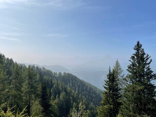 panoramic view between the trees showing hazy blue mountains in the distance