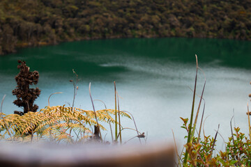 Laguna de Guatavita © Cruz de Roble Films