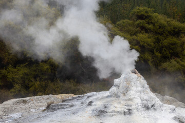boiling geyser at wai o tapu on the north island of new zealand