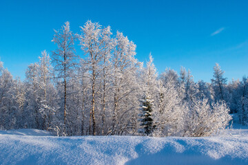 Idyllic panoramic view of a beautiful white winter wonderland scenery in Scandinavia with scenic golden evening light at sunset in winter, northern Europe.