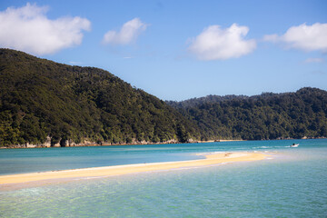 abel tasman island beach with mountain in the background