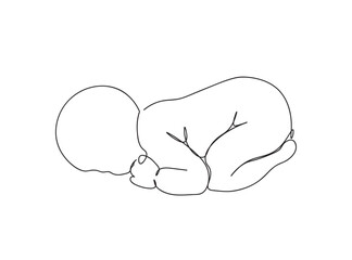 Baby Line Art Drawing Ai, EPS, SVG, PNG, JPG zip file