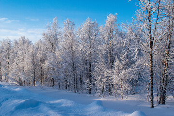 Fototapeta na wymiar Idyllic panoramic view of a beautiful white winter wonderland scenery in Scandinavia with scenic golden evening light at sunset in winter, northern Europe.