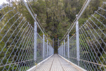 abel tasman suspension bridge in the middle of the forest, new zealand