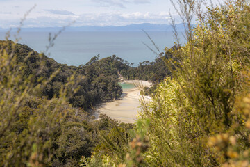 view from mountain of abel tasman beach between trees