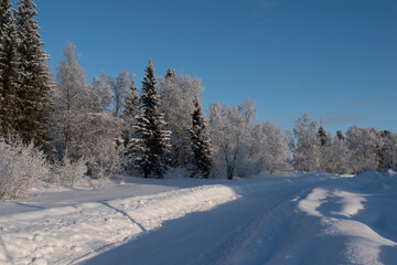 Idyllic panoramic view of a beautiful white winter wonderland scenery in Scandinavia with scenic golden evening light at sunset in winter, northern Europe.