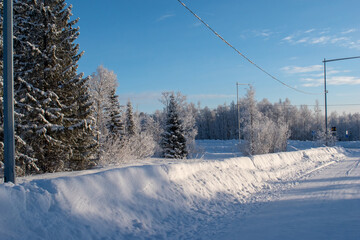 Idyllic panoramic view of a beautiful white winter wonderland scenery in Scandinavia with scenic golden evening light at sunset in winter, northern Europe.