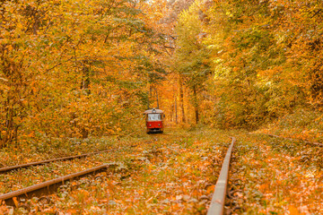Naklejka premium Autumn forest through which the tram travels, Kyiv and rails