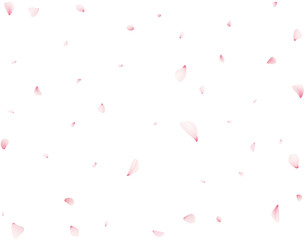 Sakura Flower Petals