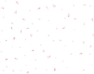 Cherry Flower Petals