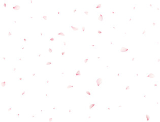 Cherry Flower Petals