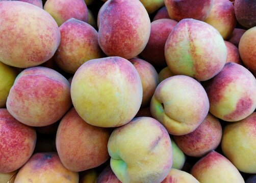 Peach fruit ripe peaches heap tasty juicy fruits prunus persica fruitpeach pechefruit durazno image stock photo 