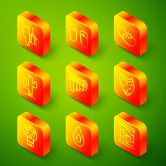 Set line Pinata, Flip flops, Beans, Cactus, Pan flute, Poncho, Mexican skull and Avocado icon. Vector