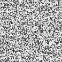 Black and white seamless pattern. Turing Diffusion Effect Trippy Hypnotic Abstraction Panoramic Wallpaper. Bizarre Doodle Structure Textile Print Art Illustration. Turing ornament halftone puzzle