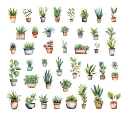 Watercolour houseplants in flower pots, isolated hand drawn clip art set