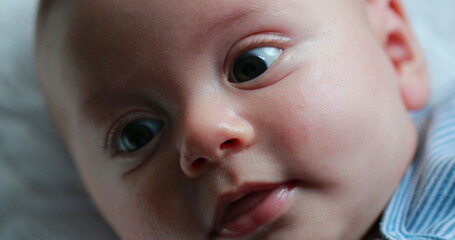 Closeup of baby newborn infant face macro portrait