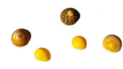 Bretagne, Normandie Frankreich, Strand