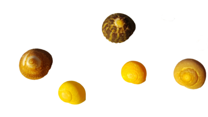 Bretagne, Normandie Frankreich, Strand