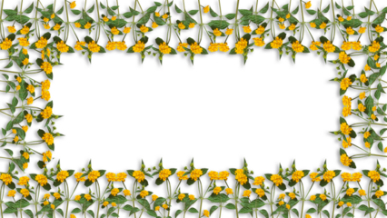 yellow flowers  frame isolated on transparent background