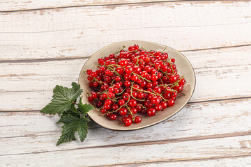 Sweet ripe red currant berries