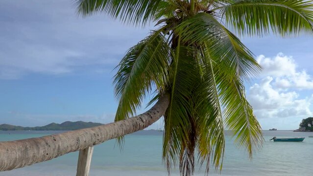 Tropical island. Gorgeous wild beach with green trees. amazing blue ocean sea sand in Seychells 